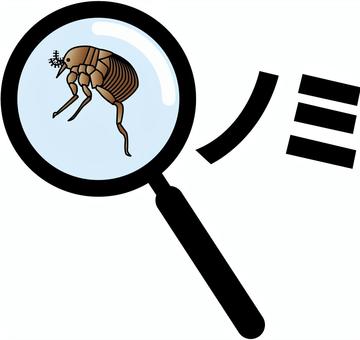 ノミ虫眼鏡 ノミ,虫眼鏡,拡大,確認,昆虫,小さい,寄生,虫さされ,カタカナのイラスト素材