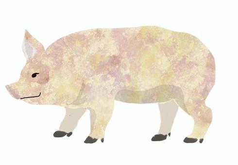 テクスチャーブタ 動物,家畜,ブタ,テクスチャー,可愛いのイラスト素材