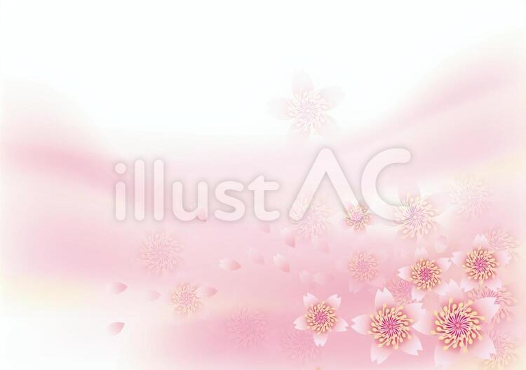 桜花爛漫4 花,桜,春のイラスト素材