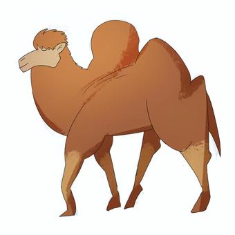 フタコブラクダ ラクダ,駱駝,砂漠,動物,野生,アニマル,茶色,生き物,こぶ,フタコブラクダのイラスト素材