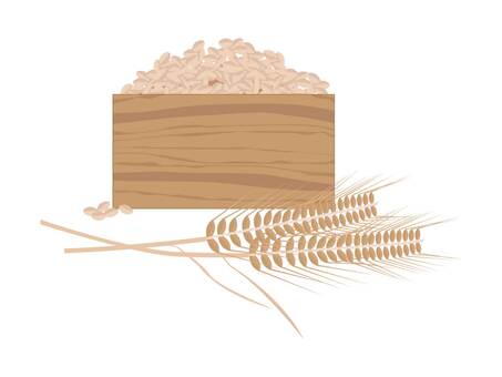 麦 麦,大麦,小麦,麦穂,穀物,実り,収穫,食物,主食,農家のイラスト素材