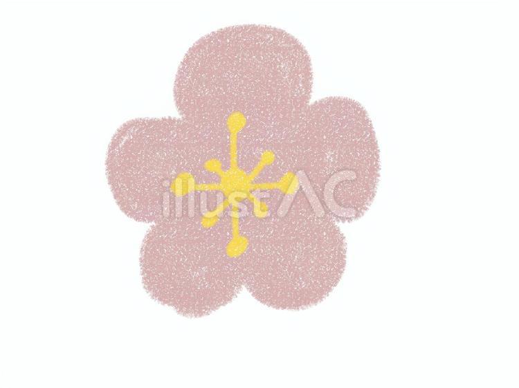 クレヨン風、優しいピンク色の梅の花 花,梅の花,自然のイラスト素材
