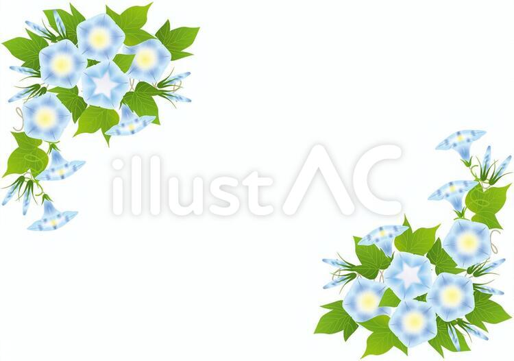 あさがお16 あさがお,花,花びらのイラスト素材