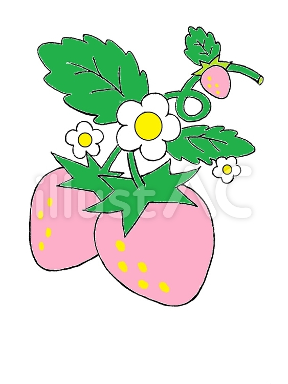 ピンクいちご いちご,イチゴ,苺のイラスト素材