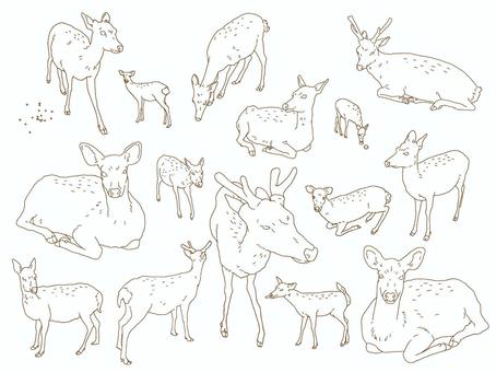 鹿_手描き 鹿,奈良,鹿せんべい,フン,手描きのイラスト素材
