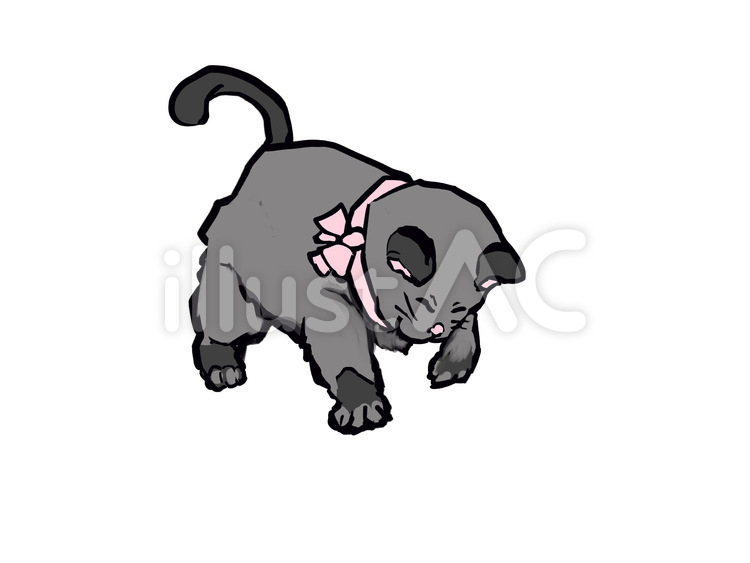 下向きの猫 猫,子猫,ペットのイラスト素材