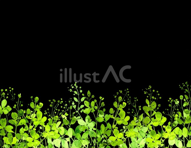 花（黒背景） 花,植物,花びらのイラスト素材