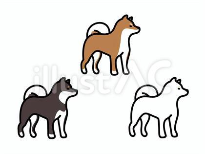 柴犬 シンプル セット 赤柴 黒柴 白柴