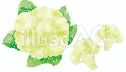 カリフラワー