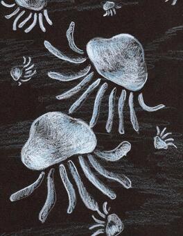 jellyfish, , JPG