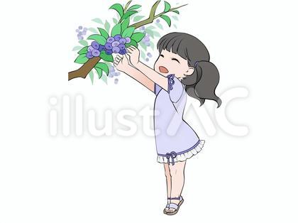 ブルーベリー狩り、果物の収穫をする女の子