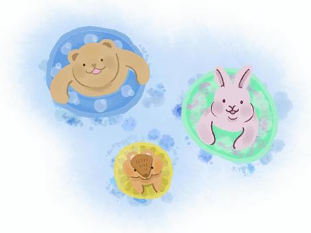 Forest animals playing in the water, bear, rabbit, a squirrel, JPG and PNG