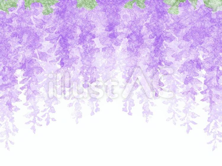 和紙  藤の花 藤の花,春,花のイラスト素材