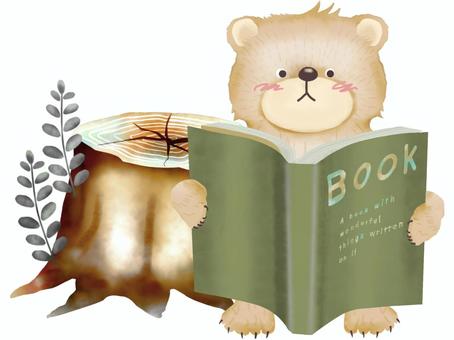 그루터기 옆에서 읽는 곰, JPG 및 PNG 그루터기 옆에서 읽는 곰, 도서, 동물, 포유류, JPG 및 PNG
