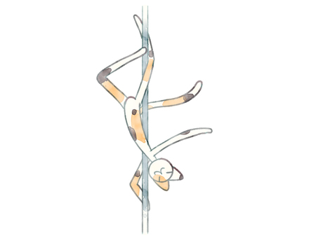 ポールダンス猫 猫,可愛い,ポールダンス,逆さま,水彩風のイラスト素材