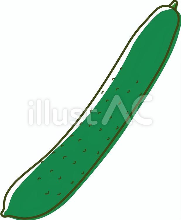 きゅうり02-線あり きゅうり,野菜,夏のイラスト素材