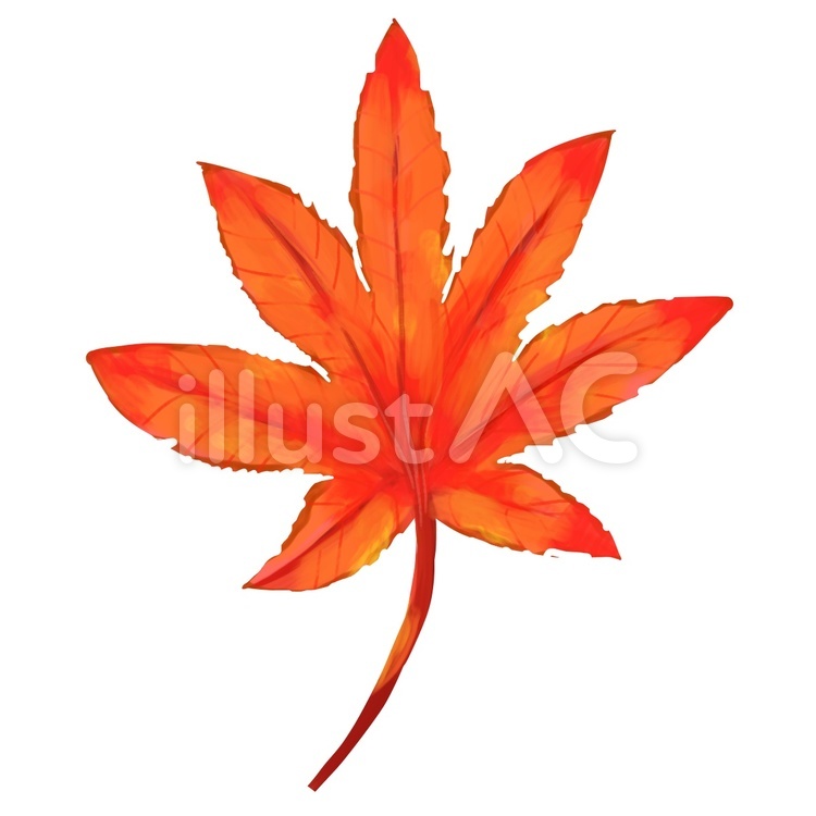 もみじ もみじ,紅葉,秋のイラスト素材