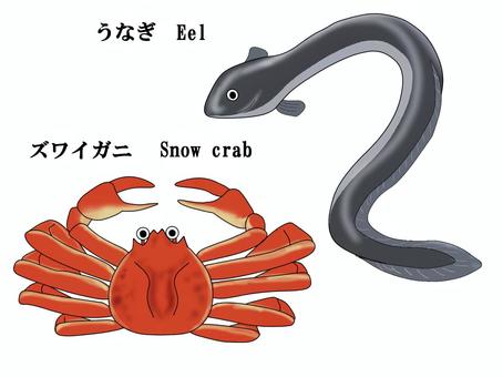 うなぎ　カニ うなぎ,カニ,ズワイガニ,甲殻類,魚,eel,snow,crab,ウナギ,鰻のイラスト素材