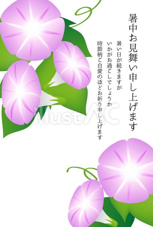暑中見舞い・朝顔_薄紫 暑中見舞い,朝顔,花のイラスト素材