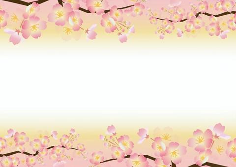 Sakura letter up and down gradation, cherry blossoms, cherry blossom frame, frame, JPG, PNG and AI