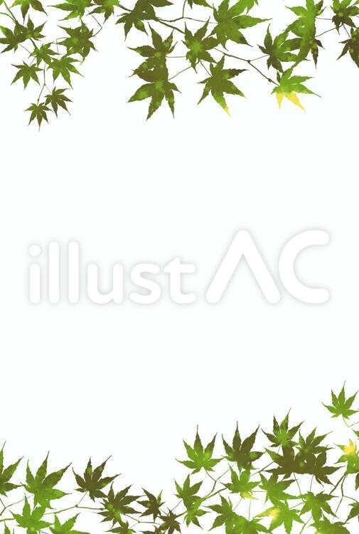 紅葉の枝のポストカード　たて３ 紅葉,秋,ポストカードのイラスト素材