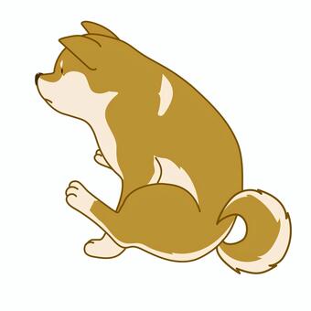 かわいい柴犬のシンプルイラストお尻歩き 犬,ペット,柴犬,手描き,横向,かわいい,アクション,アニマル,挿絵,カット絵のイラスト素材