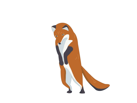 Illustration, uma raposa, raposas vermelhas, animal, 