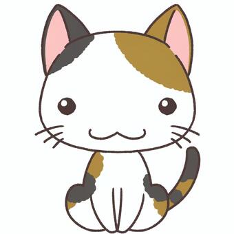 Mikane cat, cat, san mao cat, cute, JPG and PNG