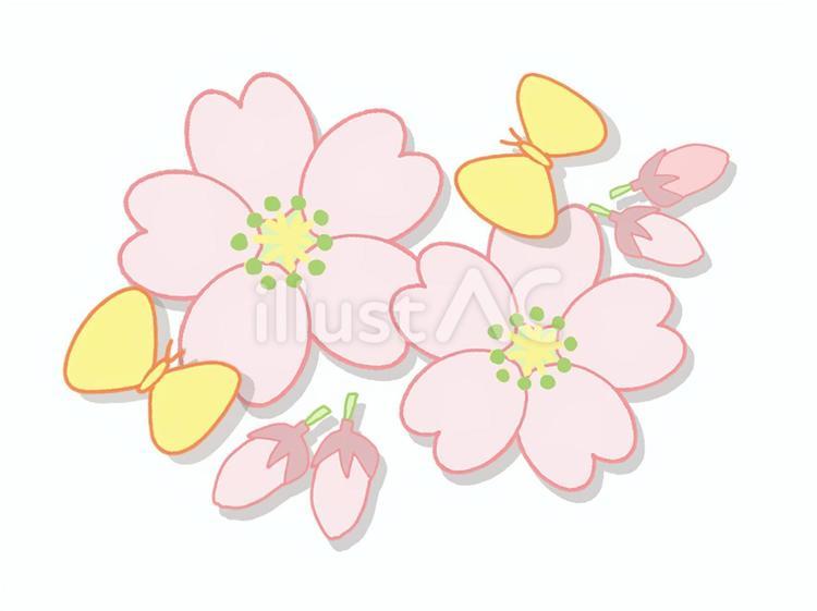 桜と蝶々 桜,蝶々,花のイラスト素材