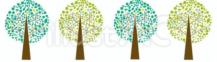並木　並木道　植物 植物,樹木,木のイラスト素材