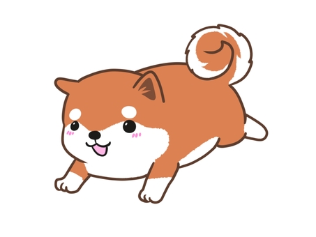 走る柴犬 柴犬,赤柴,子犬,犬,動物,パピーのイラスト素材