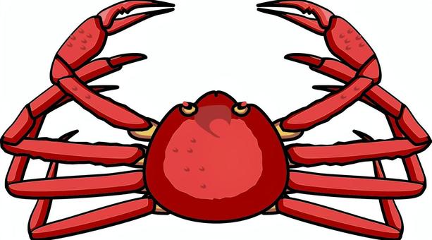 Illustration, snow crab, crab, crustacean, 