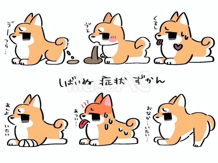 しばいぬ症状ずかん 柴犬,犬,動物のイラスト素材