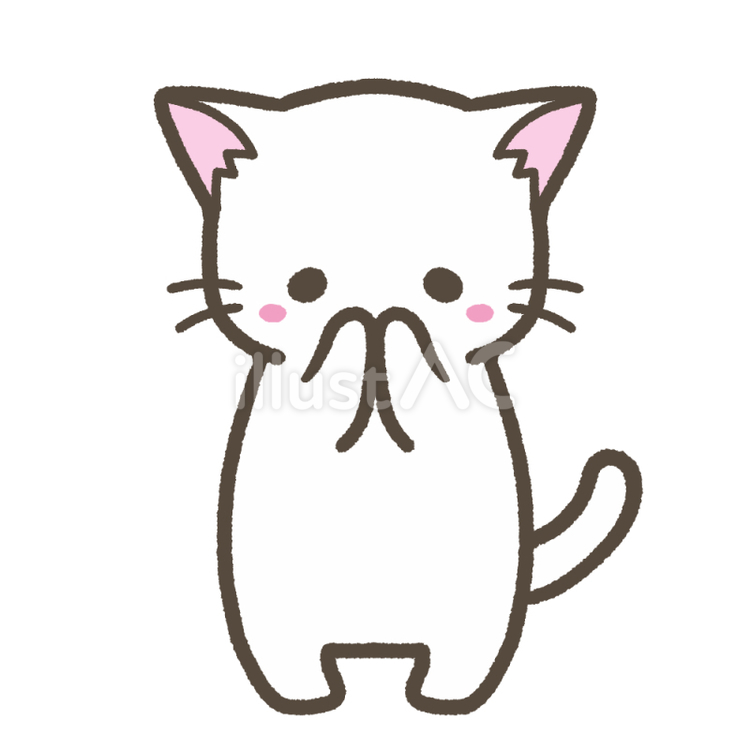 口をふさぐ白猫 可愛い,猫,白のイラスト素材