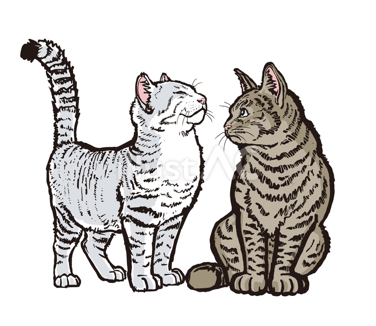 背伸びねこと驚くねこ ネコ,猫,キャットのイラスト素材
