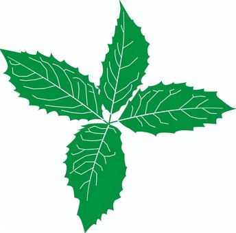 ヒイラギモクセイシルエット ヒイラギモクセイ,葉っぱ,植栽,植木,植物,緑,単色,シルエットのイラスト素材