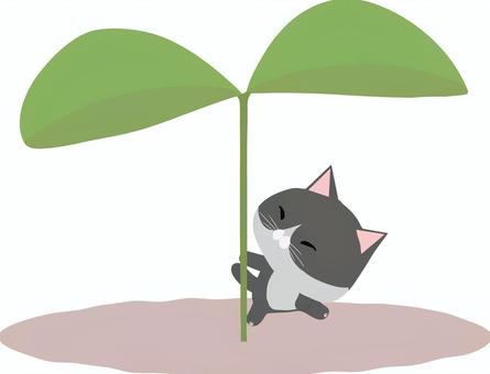 Futaba_Cat_Hachiwa, JPG, PNG 和 AI Futaba_Cat_Hachiwa, , JPG, PNG 和 AI