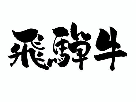 飛騨牛 筆文字,文字,飾り文字,筆,手書き,手描き,デザイン,あしらい,マーク,日本語のイラスト素材