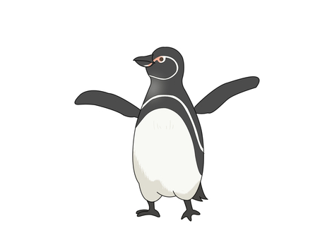 Illustration, pinguin des galapagos, penguin, oiseau, 