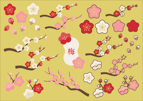 Illustration, Illustration, plum, plum blossom, red plum,