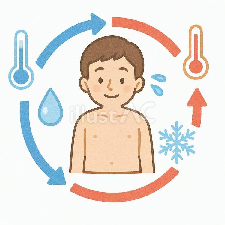 恒常性 体温,人体,調節のイラスト素材