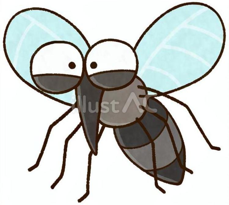 嬉しそうな蚊 蚊,ヤブ蚊,虫刺されのイラスト素材