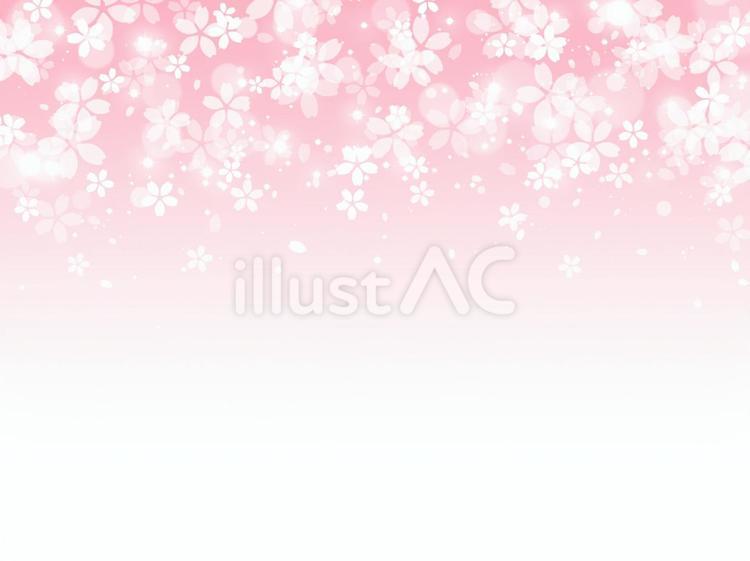 かわいい桜の背景 桜,背景,花のイラスト素材