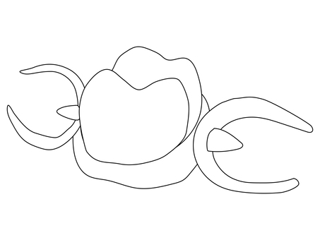 上の歯の部分入れ歯のイラスト（主線のみ） 歯科,歯医者,義歯,部分入れ歯,一本義歯,パーシャルデンチャー,部分義歯,上顎,キャストクラスプ,クラスプのイラスト素材