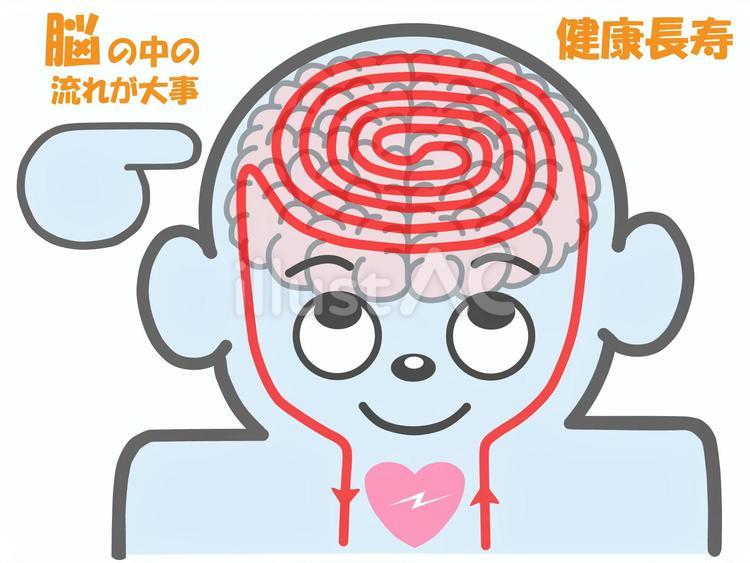 健康長寿の元は脳の中の血液の流れが大事 血流,脳,健康法のイラスト素材