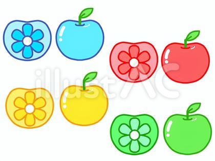 カラフルリンゴ 花の断面