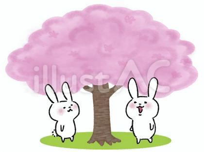 花見をするうさぎ達