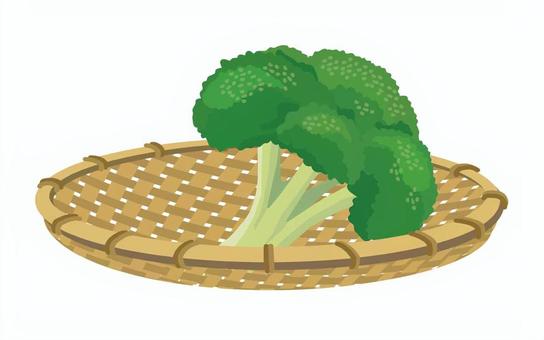 ザルに入ったブロッコリー1 ブロッコリー,野菜,食べ物,食材,栄養,新鮮,植物,八百屋,家庭菜園,畑のイラスト素材