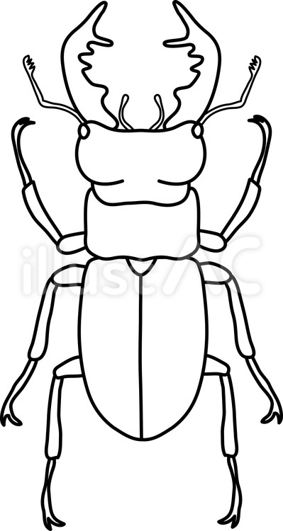 ミヤマクワガタ（塗り絵） ミヤマクワガタ,クワガタムシ,昆虫のイラスト素材