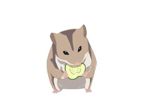 ハムスター（食べる・主線なし） ジャンガリアンハムスター,ヒメキヌゲネズミ,ドワーフハムスター,ハムスター,動物,食べる,主線なしのイラスト素材